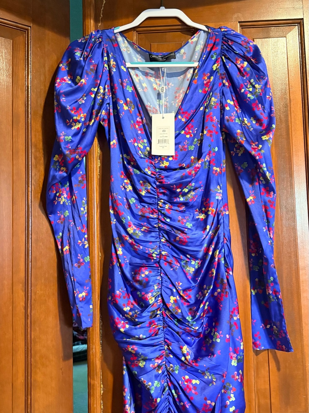 NWT Caroline Constas Ruched Silk Colette Dress